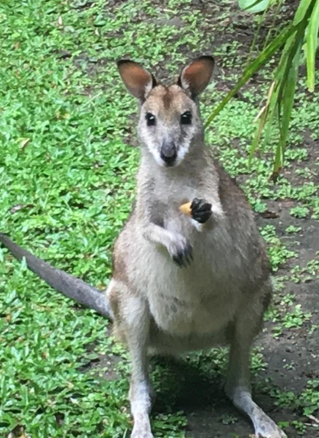 Trinity Park QLD Australian Directory