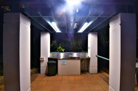 Grande Florida Beachside Resort - Australian Directory 40