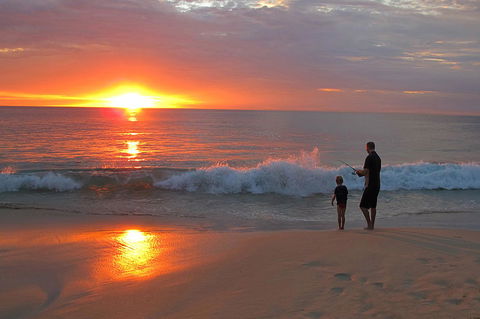 Grande Florida Beachside Resort - Australian Directory 26