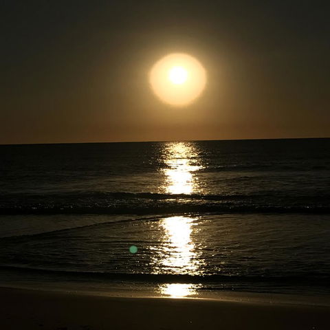 Meridian Alex Beach Apartments - Australian Directory 9