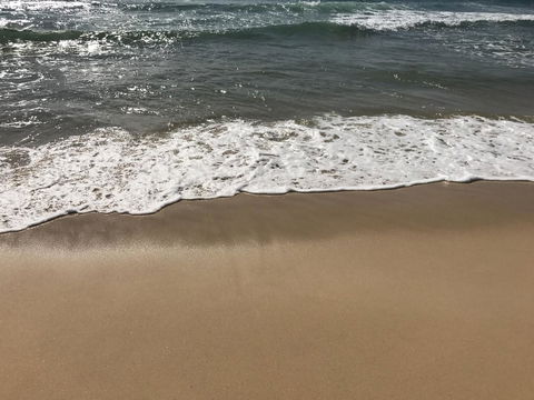 Meridian Alex Beach Apartments - Australian Directory 2