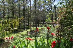 Book Mount Hutton Accommodation Australian Directory Australian Directory