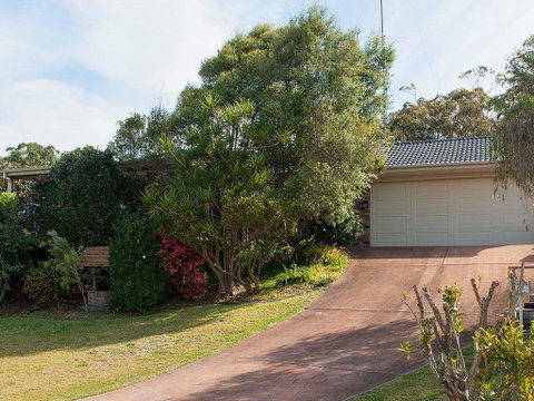 Wildflowers @ Fingal Bay - Australian Directory 1