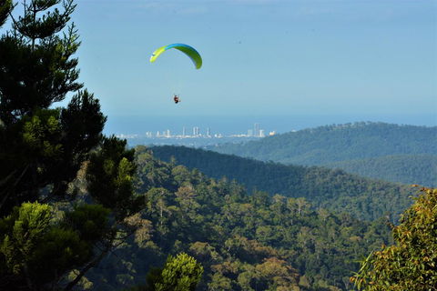 Willow Cabin - Australian Directory 1