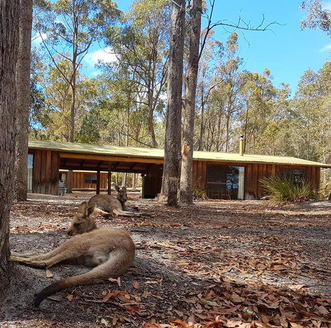 Woodbine Park Eco Cabins - Australian Directory 2