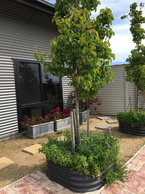 Woolamai Dreaming - Australian Directory 2