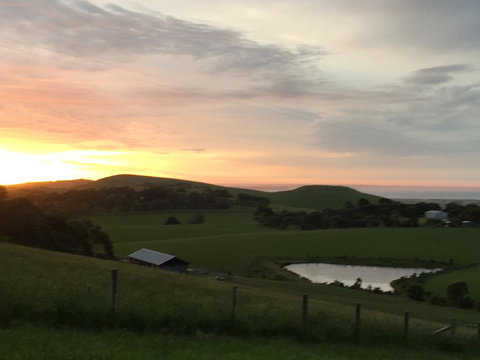 Woolamai Dreaming - Australian Directory 1