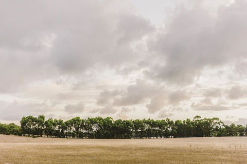 Yallingup Lodge Spa Retreat - Australian Directory 0