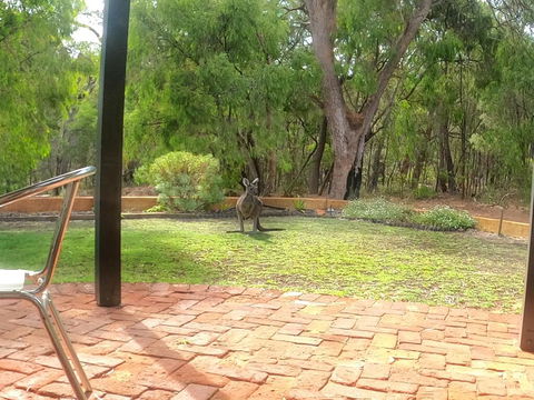 Yallingup Pet Friendly Bush Retreat - Australian Directory 3
