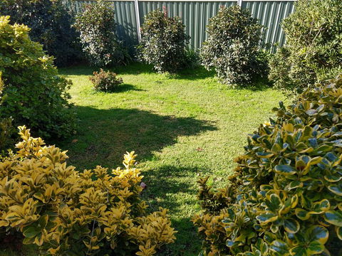 Young Goldrush Motel - Australian Directory 3