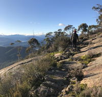 Yours and Theirs Pet Friendly Accommodation - Australian Directory