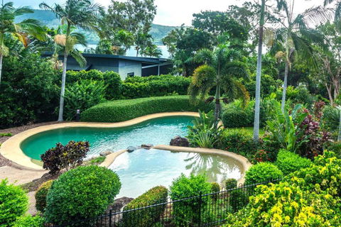 Anchorage 4 & Buggy Hamilton Island - Australian Directory 4