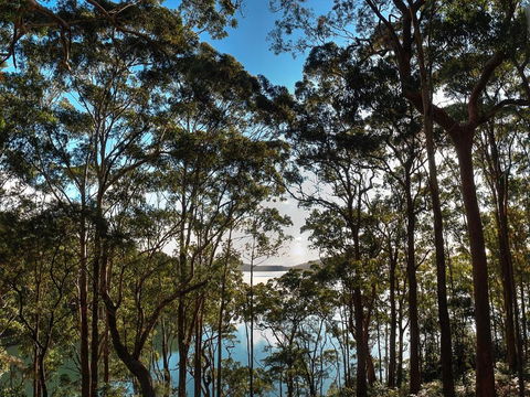 Aqua Vista - Australian Directory 4