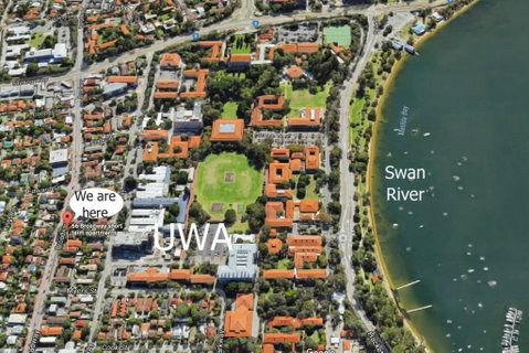 B6 Crawley Apartment 1 BRM & Sleepout Near UWA - Australian Directory 1