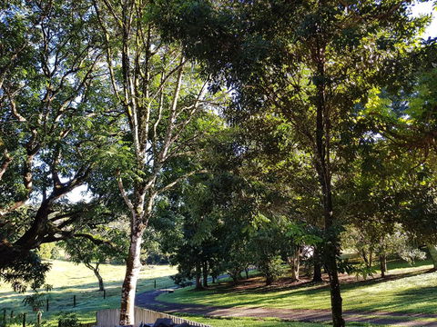 Bee-Haven Cottage - Australian Directory 7