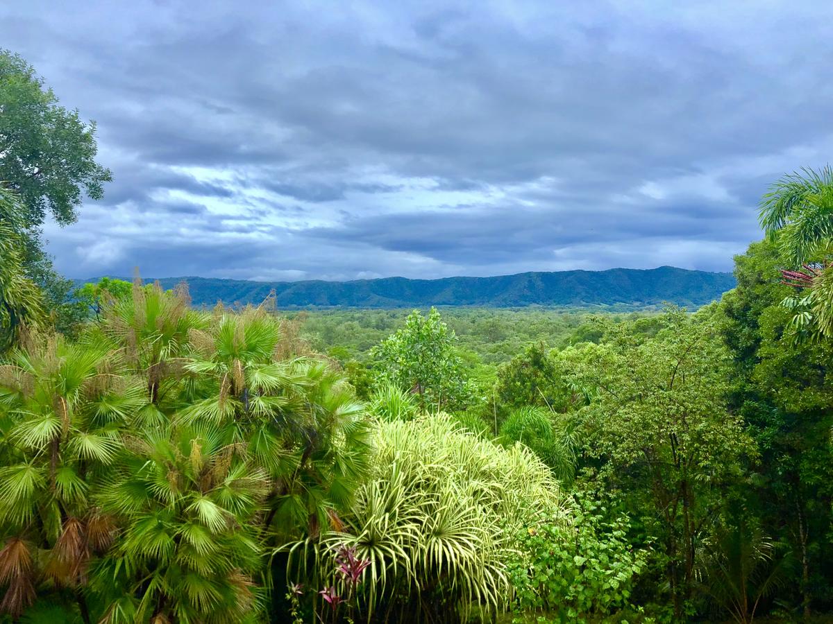 Forest Creek QLD Australian Directory