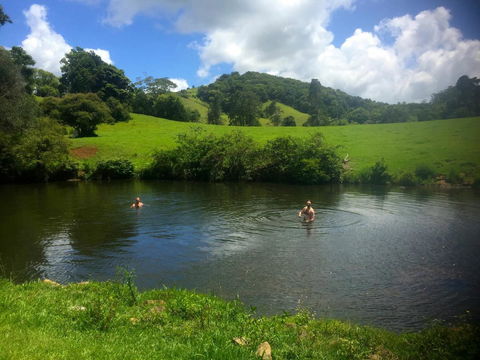 Maleny Springs Farm - Australian Directory 34