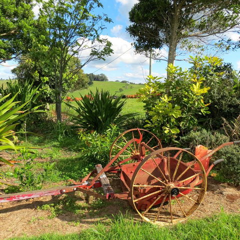 Maleny Springs Farm - Australian Directory 37