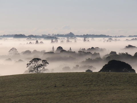 Maleny Springs Farm - Australian Directory 22