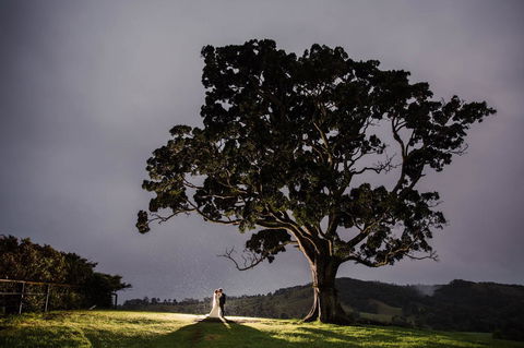 Maleny Springs Farm - Australian Directory 16
