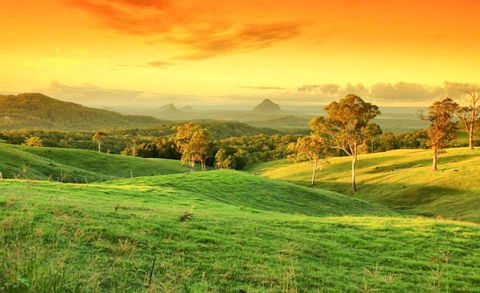 Maleny Springs Farm - Australian Directory 20
