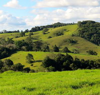 Maleny Springs Farm - Australian Directory