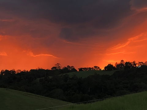 Maleny Springs Farm - Australian Directory 6