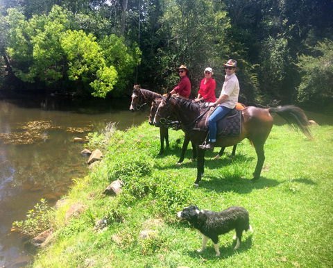 Maleny Springs Farm - Australian Directory 33