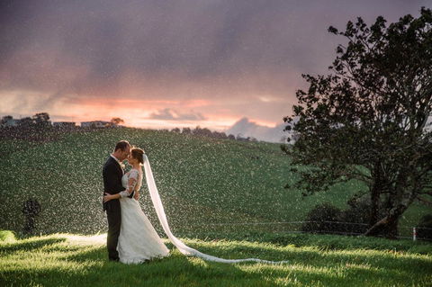 Maleny Springs Farm - Australian Directory 11