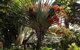 Port Douglas Apartments - Adults Only Oasis - thumb 39
