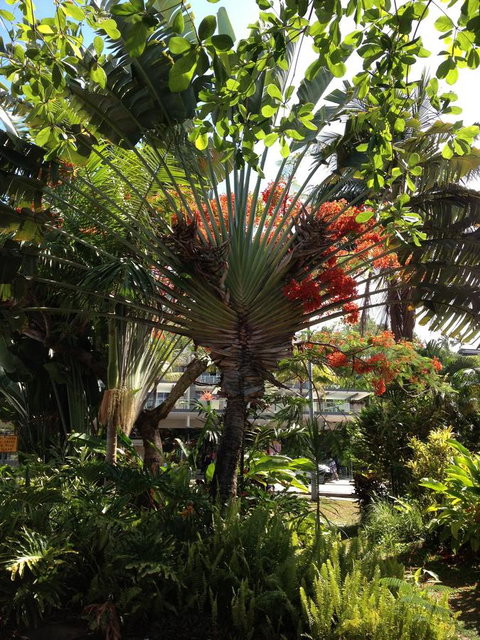 Port Douglas Apartments - Adults Only Oasis - Australian Directory 39