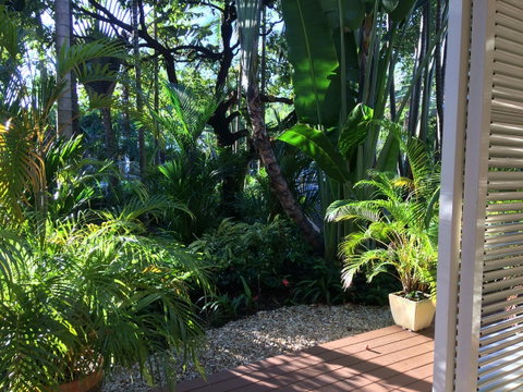 Port Douglas Apartments - Adults Only Oasis - Australian Directory 2