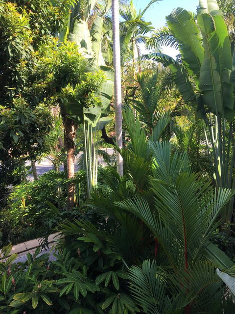 Port Douglas Apartments - Adults Only Oasis - Australian Directory 1