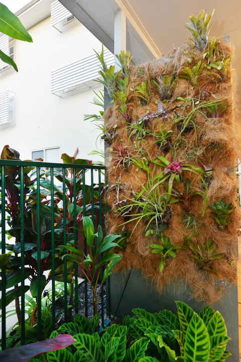 Port Douglas Apartments - Adults Only Oasis - Australian Directory 27