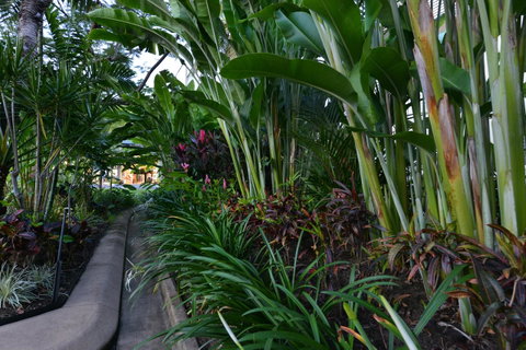 Port Douglas Apartments - Adults Only Oasis - Australian Directory 9