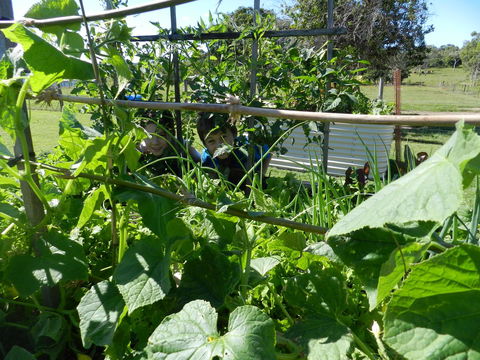Hay Point Country BnB - Australian Directory 17