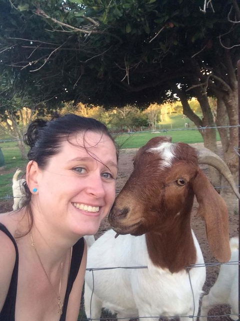 Hay Point Country BnB - Australian Directory 13