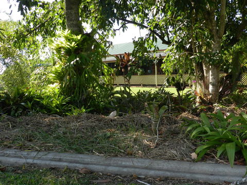 Hay Point Country BnB - Australian Directory 23