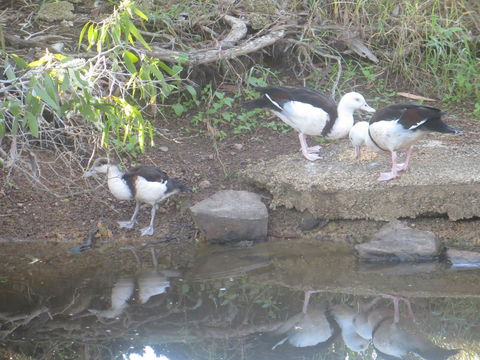 Hay Point Country BnB - Australian Directory 22