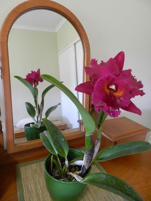 Hay Point Country BnB - Australian Directory 10