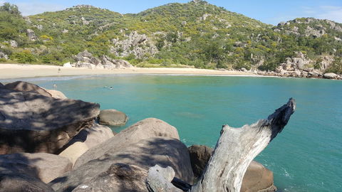 1 Min. Walk To Beach Horeseshoe Bay Holiday Units - Australian Directory 11
