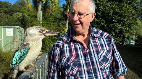 Magnetic Island Bed And Breakfast - Australian Directory 33