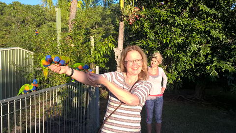 Magnetic Island Bed And Breakfast - Australian Directory 16