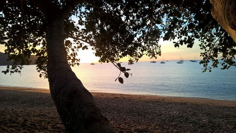 Magnetic Island Bed And Breakfast - Australian Directory 4