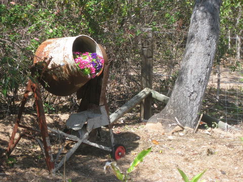 Magnetic Island Bed And Breakfast - Australian Directory 32