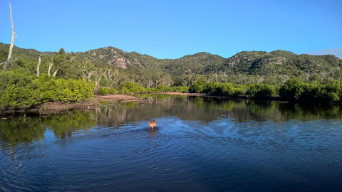 Magnetic Island Bed And Breakfast - Australian Directory 8