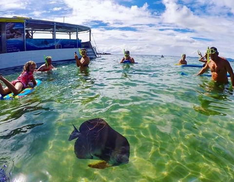 Magnetic Island Guest House - Australian Directory 20
