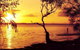 Waterfront At White Patch - thumb 23
