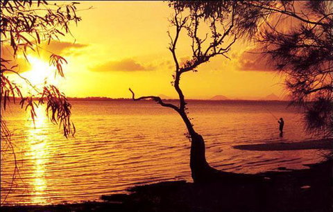 Waterfront At White Patch - Australian Directory 23