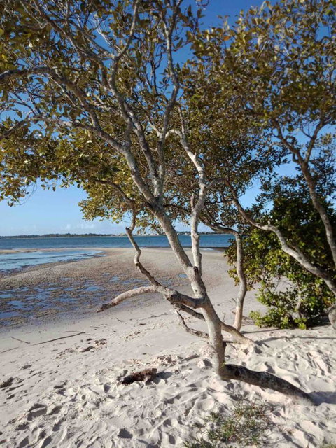 Modern Beach Villa - Australian Directory 15